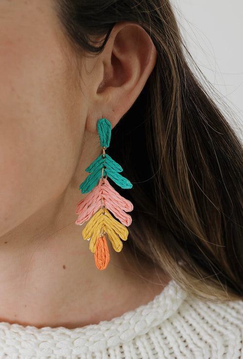 Color Chic Earrings