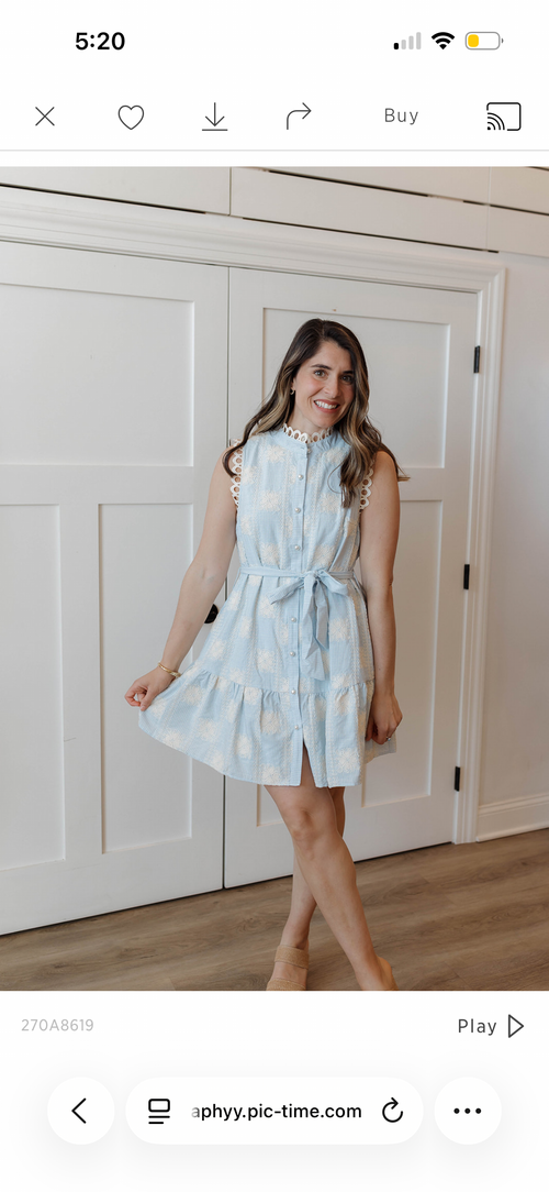 Lighthearted Lane Dress