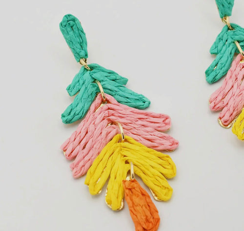 Color Chic Earrings
