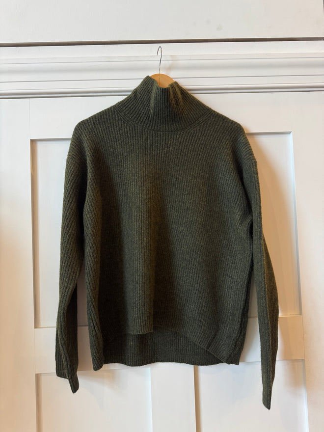 Solid Turtleneck Sweater