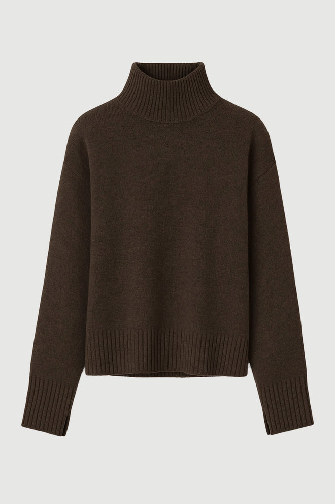 Solid Turtleneck Sweater
