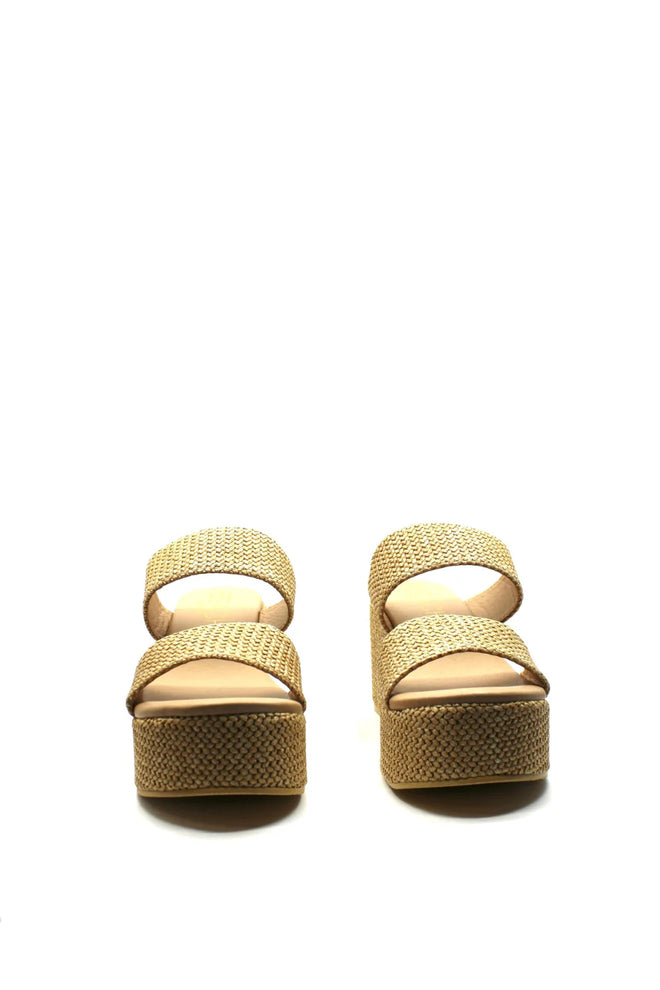 Ocean Ave Chesnut