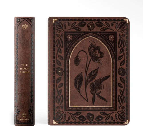 ESV Journaling Bible