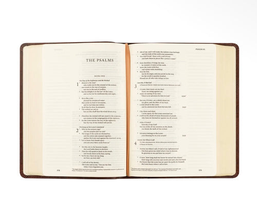 ESV Journaling Bible
