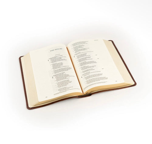 ESV Journaling Bible