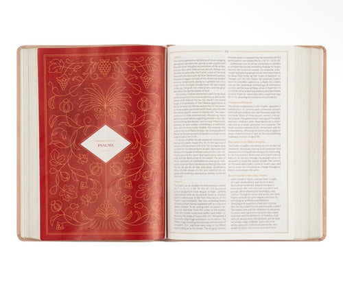 CSB Women's Study Bible: Sonora Theme