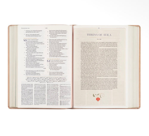 CSB Women's Study Bible: Sonora Theme