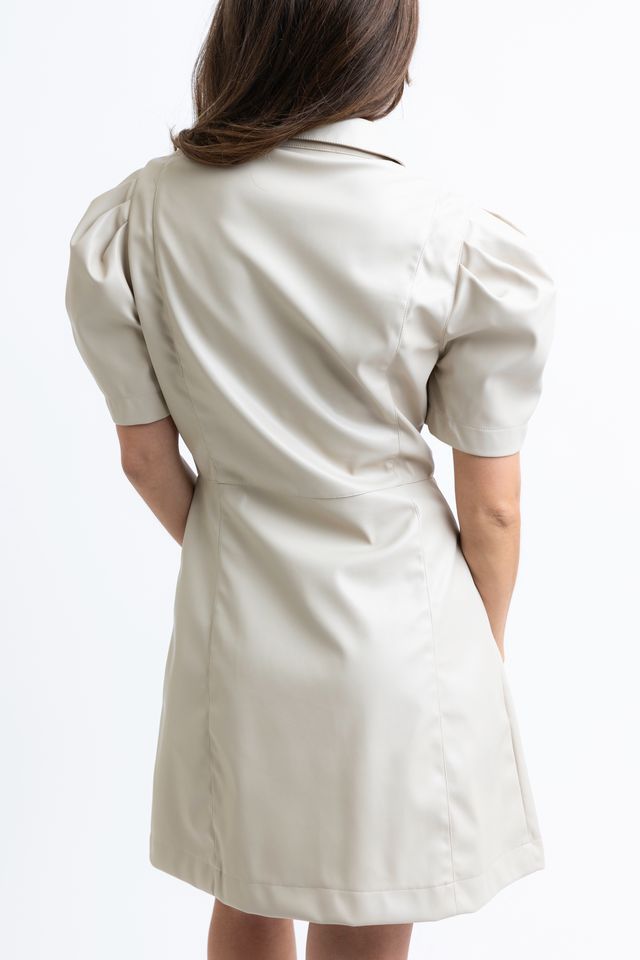 The Britt Pleather Dress